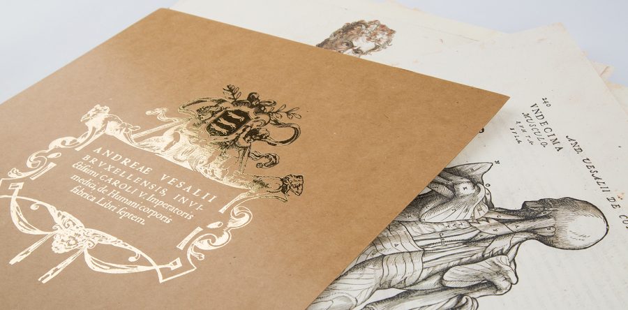 Traktat o budowie ciała ludzkiego